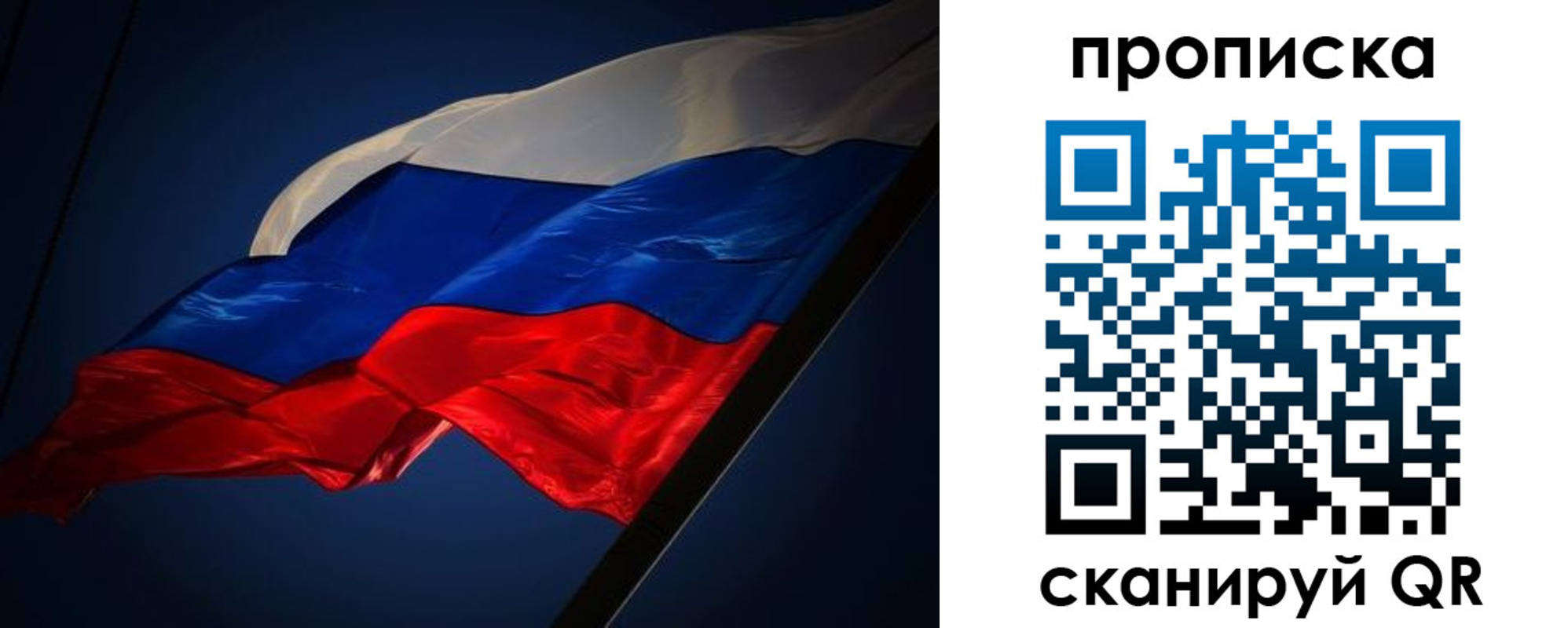 прописка гарантия в Вологде